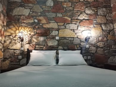 Double or Twin Room with Terrace