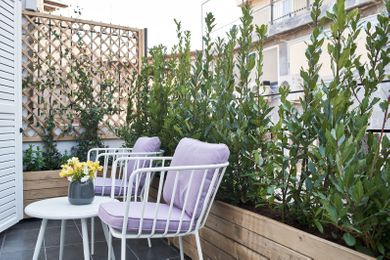 Family Suite with Balcony