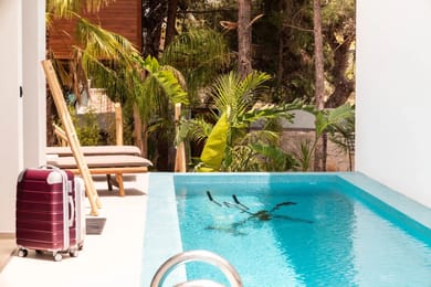 D Palm | Villa Starlight