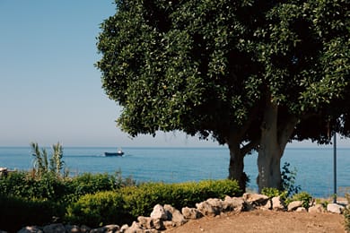Atlantica Akteon - Image 7