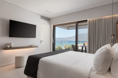 Standard Room (Accessible)