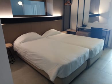 Interior Twin (No view - No balcony)