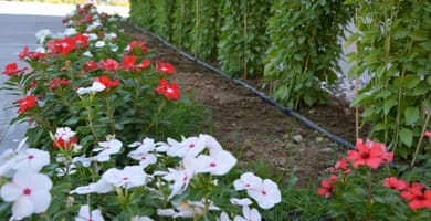 Avra Nafpliou Hotel - Image 4