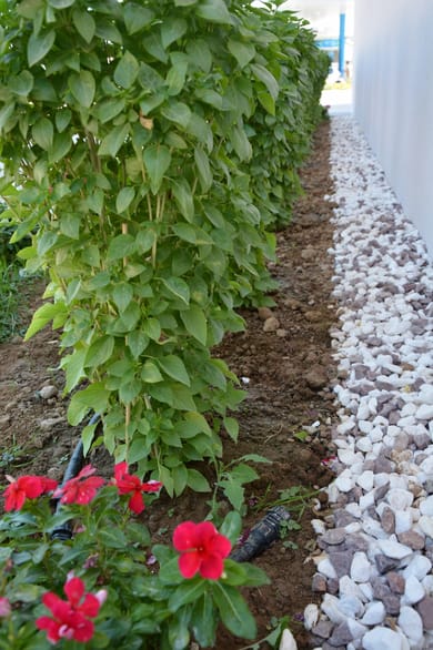 Avra Nafpliou Hotel - Image 6