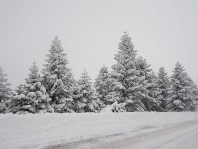 To Balconi tis Agorianis - Image 4