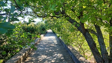 Bella Cisterna - Image 3