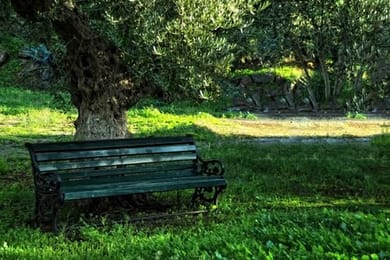 Belle Helene Hotel - Image 4