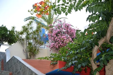 Belvedere Village - Image 3