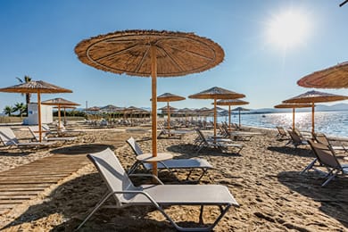 Blue Lagoon Queen - Image 6