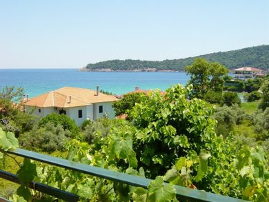 Blue Bay Beach Hotel - Image 4