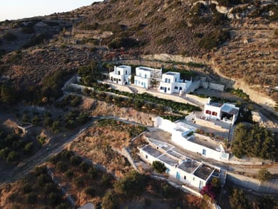 Blue Bliss - Image 4