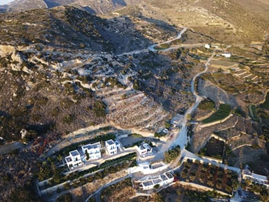 Blue Bliss - Image 6