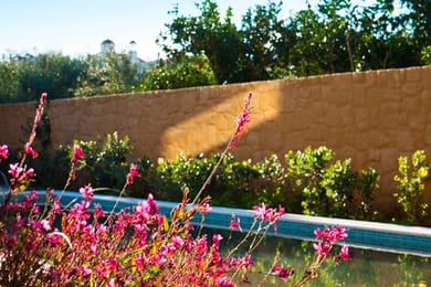 Orangia Villa