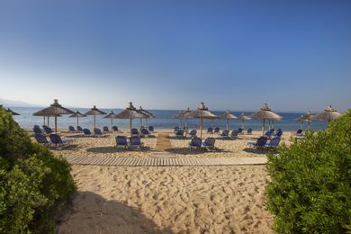 Blue Dolphin Hotel Chalkidiki - Image 4