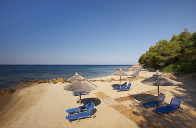 Blue Dolphin Hotel Chalkidiki - Image 5