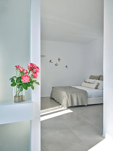 Corali Suite