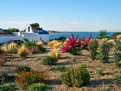 Blue Mare Villas Paros - Image 5