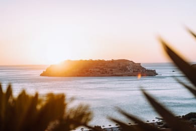 Phaea Blue - Image 6