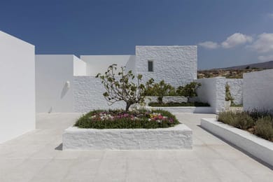 Begonia Villa