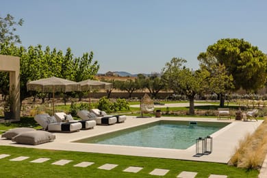 Chrysanthemum Villa