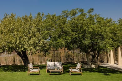 Chrysanthemum Villa