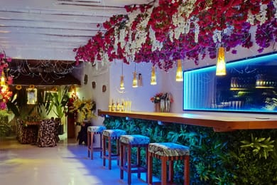 Opulence Villa