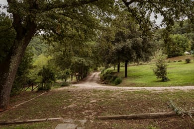Borgo La Ferriera Celleno Viterbo | BZAR hotels - Image 3