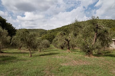 Borgo La Ferriera Celleno Viterbo | BZAR hotels - Image 7