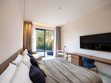 Velvet Suite with Private Pool
