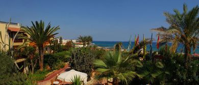 Cactus Beach Hotel - Image 3