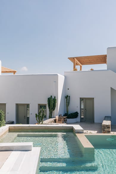 Mykonos Cactus - Image 2