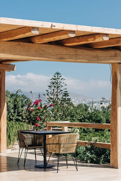 Mykonos Cactus - Image 5