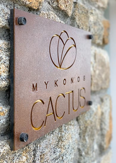 Mykonos Cactus - Image 4