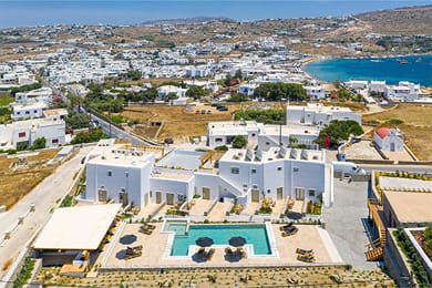 Mykonos Cactus - Image 3