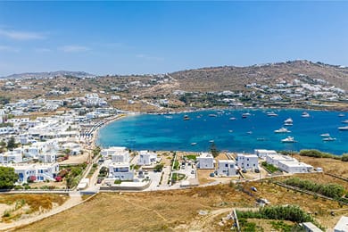 Mykonos Cactus - Image 7