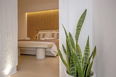 Garden View Suite