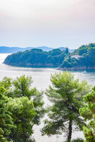 Family Room Sea View