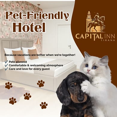 Hotel Capital Inn Tirana - Image 7