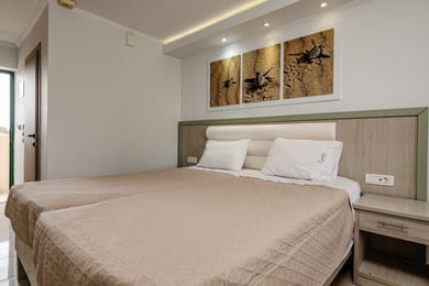 Double or Twin Room