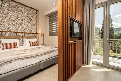 Junior Suite Apartment