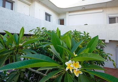 Casa Nefeli - Image 3