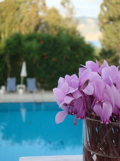 Castelli Hotel Zante - Image 5