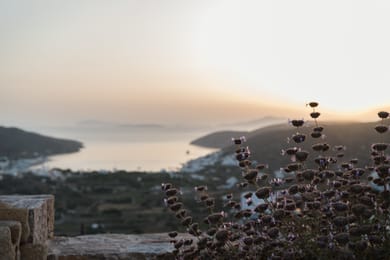 Castello Amorgos Suites - Image 2