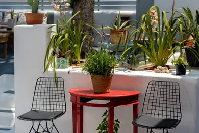 1812 Caves 'n Mansion - Image 4