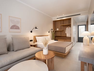 One-Bedroom Deluxe Apartment