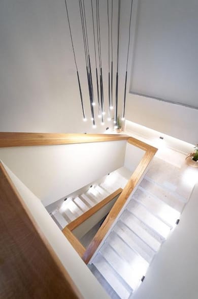 Celine’s Rose - Image 6