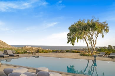 Phaos at Cellaria Estate - Image 2