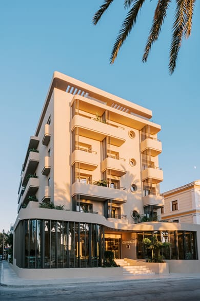 Cento Palme - Image 4