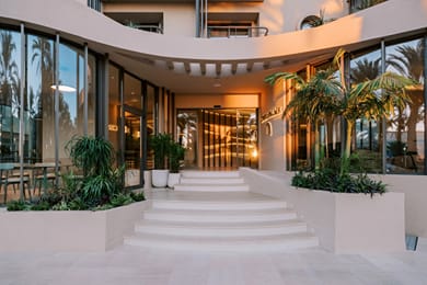 Cento Palme - Image 2