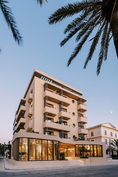 Cento Palme - Image 6